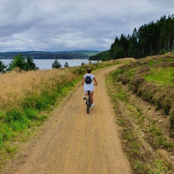 Person cycling at Kielder Water and Forest Park