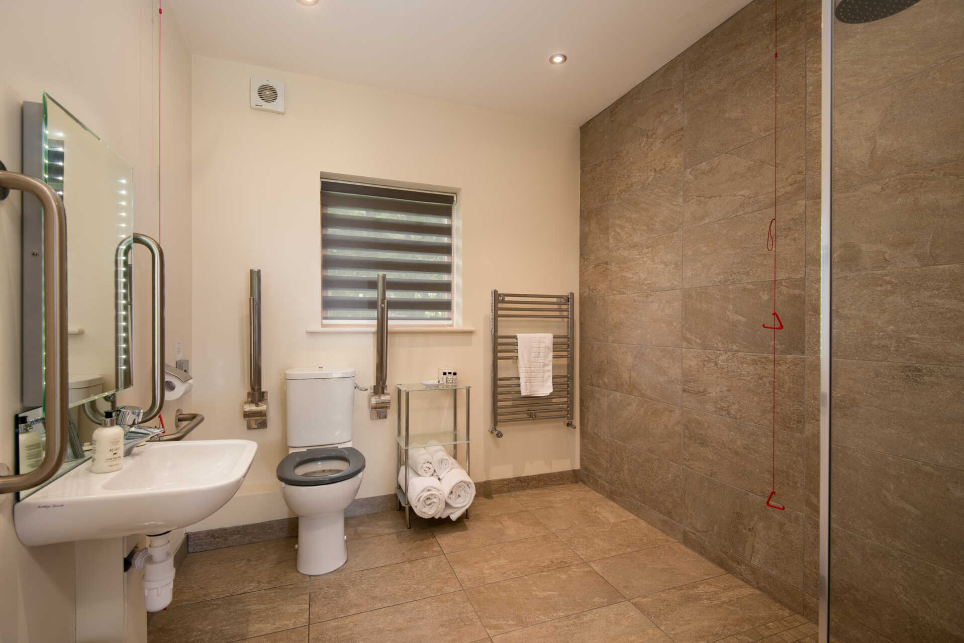 Ground Floor Accessible Bedroom - Ensuite Wet Room - Vesta View