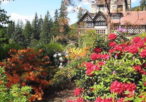 View of Cragside House and Gardens, Northumberland